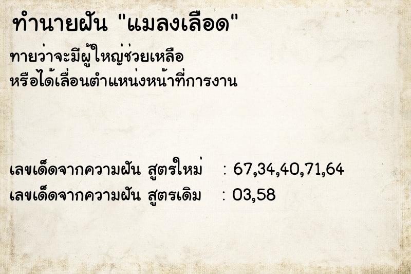 ทำนายฝันทำนายฝันแมลงเลือด