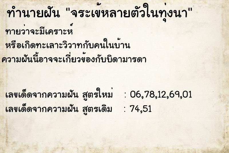 ทำนายฝัน จระเข้หลายตัวในทุ่งนา