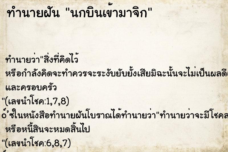 ทำนายฝัน นกบินเข้ามาจิก ทำนายฝัน นกบินเข้ามาจิก