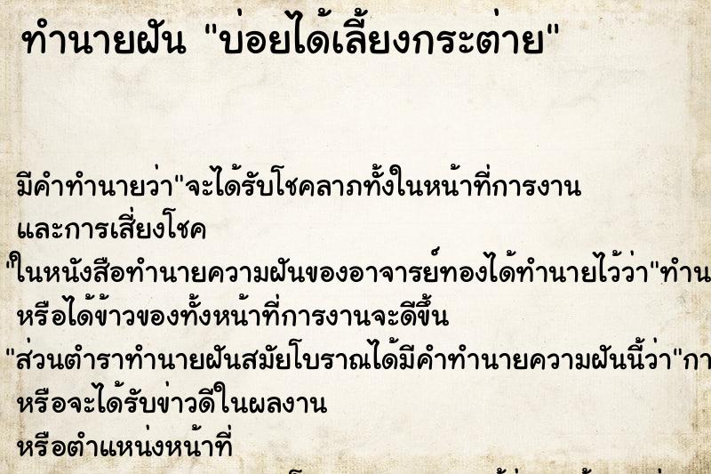 ทำนายฝันบ่อยได้เลี้ยงกระต่าย ทำนายฝันทำนายฝันบ่อยได้เลี้ยงกระต่าย