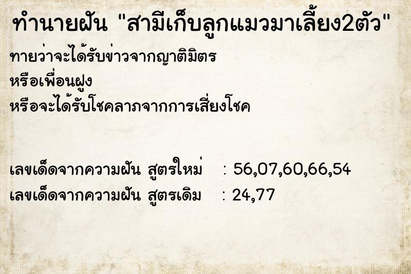 ทำนายฝันทำนายฝันสามีเก็บลูกแมวมาเลี้ยง2ตัว