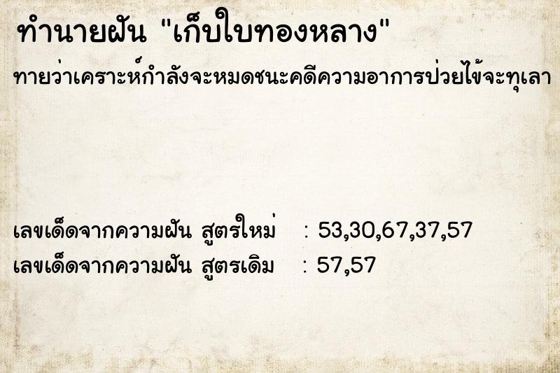 ทำนายฝันทำนายฝันเก็บใบทองหลาง