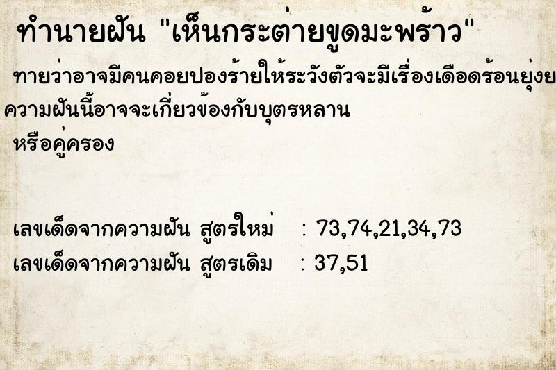 ทำนายฝันเห็นกระต่ายขูดมะพร้าว ทำนายฝันทำนายฝันเห็นกระต่ายขูดมะพร้าว