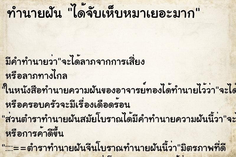 ทำนายฝัน ได้จับเห็บหมาเยอะมาก ตำราโบราณ แม่นที่สุดในโลก