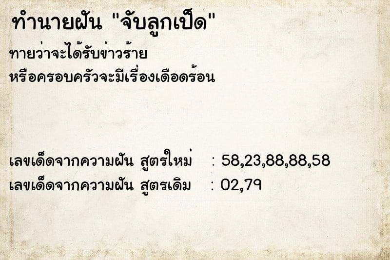ทำนายฝันจับลูกเป็ด ทำนายฝันทำนายฝันจับลูกเป็ด