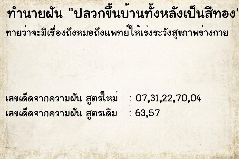 ทำนายฝันทำนายฝันปลวกขึ้นบ้านทั้งหลังเป็นสีทอง