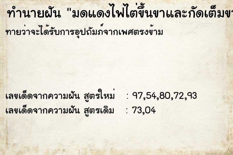 ทำนายฝันมดแดงไฟไต่ขึ้นขาและกัดเต็มขาเลย ทำนายฝันทำนายฝันมดแดงไฟไต่ขึ้นขาและกัดเต็มขาเลย