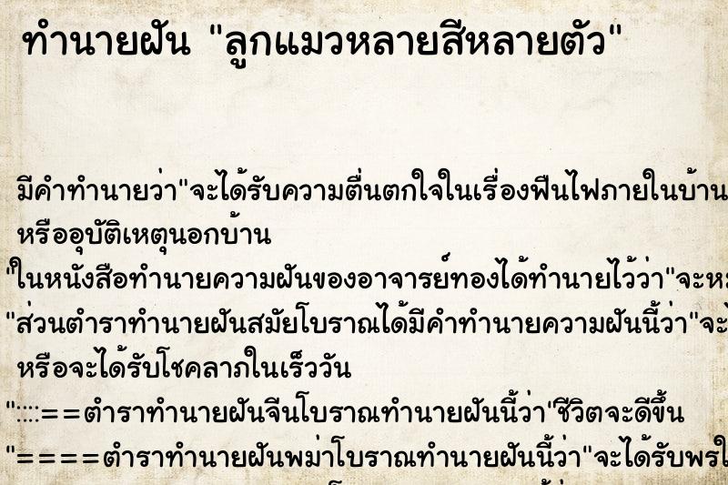 ทำนายฝัน ลูกแมวหลายสีหลายตัว ทำนายฝัน ลูกแมวหลายสีหลายตัว