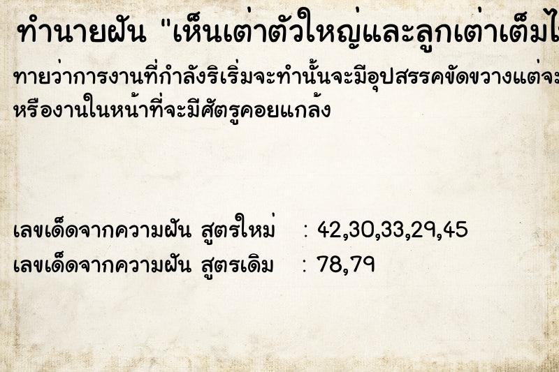ทำนายฝัน เห็นเต่าตัวใหญ่และลูกเต่าเต็มไปหมด ทำนายฝัน เห็นเต่าตัวใหญ่และลูกเต่าเต็มไปหมด