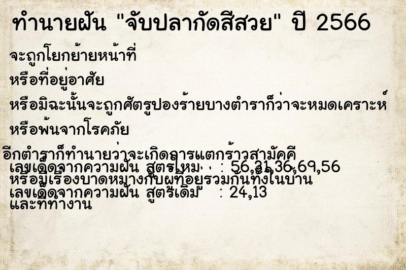 ทำนายฝัน จับปลากัดสีสวย แม่นๆ ฟรี ด้วยตำราหนังสือทำนายฝันโบราณ ทำนายฝันจับปลากัดสีสวย