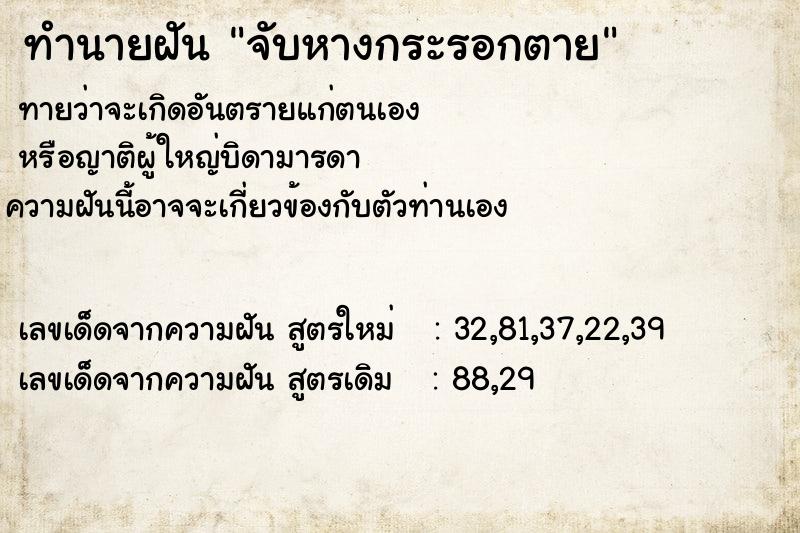 ทำนายฝัน จับหางกระรอกตาย ทำนายฝัน จับหางกระรอกตาย
