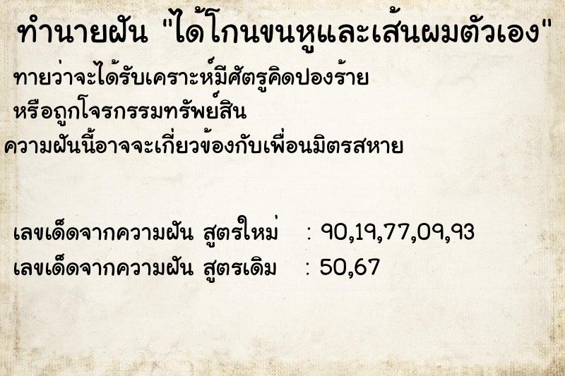 ทำนายฝันได้โกนขนหูและเส้นผมตัวเอง ทำนายฝันทำนายฝันได้โกนขนหูและเส้นผมตัวเอง