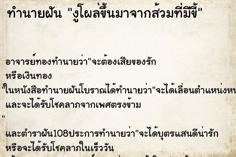 ทำนายฝันทำนายฝันงูโผล่ขึ้นมาจากส้วมที่มีขี้