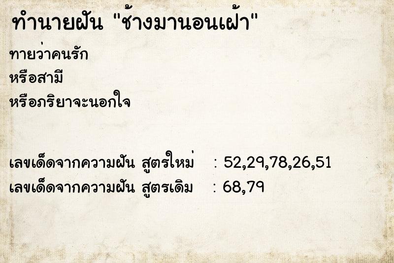 ทำนายฝันช้างมานอนเฝ้า ทำนายฝันทำนายฝันช้างมานอนเฝ้า