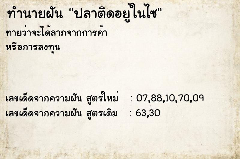 ทำนายฝันปลาติดอยู่ในไซ ทำนายฝันทำนายฝันปลาติดอยู่ในไซ