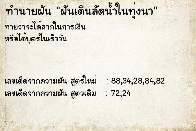 ทำนายฝันฝันเดินลัดน้ำในทุ่งนา ทำนายฝันทำนายฝันฝันเดินลัดน้ำในทุ่งนา