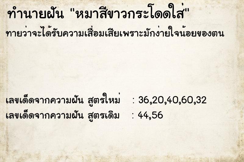 ทำนายฝันหมาสีขาวกระโดดใส่ ทำนายฝันทำนายฝันหมาสีขาวกระโดดใส่