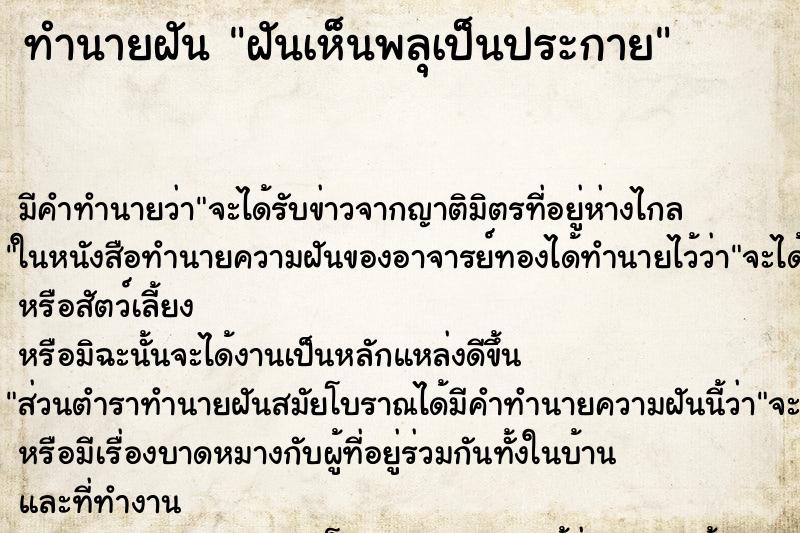 ทำนายฝันฝันเห็นพลุเป็นประกาย ทำนายฝันทำนายฝันฝันเห็นพลุเป็นประกาย