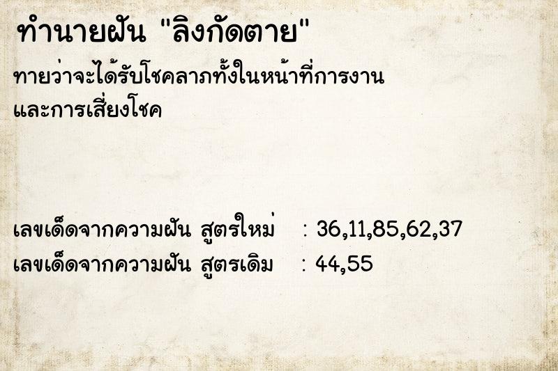 ทำนายฝันลิงกัดตาย ทำนายฝันทำนายฝันลิงกัดตาย