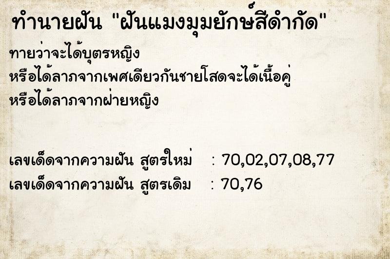 ทำนายฝันฝันแมงมุมยักษ์สีดำกัด ทำนายฝันทำนายฝันฝันแมงมุมยักษ์สีดำกัด