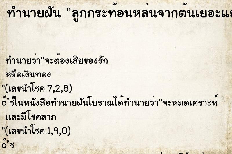 ทำนายฝัน ลูกกระท้อนหล่นจากต้นเยอะแยะ ทำนายฝัน ลูกกระท้อนหล่นจากต้นเยอะแยะ