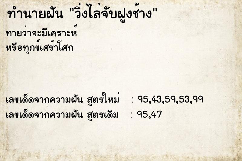 ทำนายฝันทำนายฝันวิ่งไล่จับฝูงช้าง