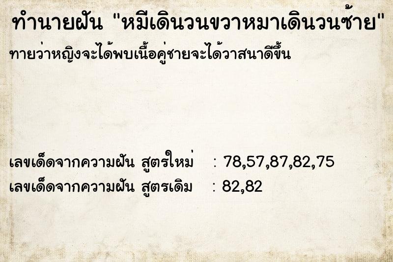 ทำนายฝันทำนายฝันหมีเดินวนขวาหมาเดินวนซ้าย