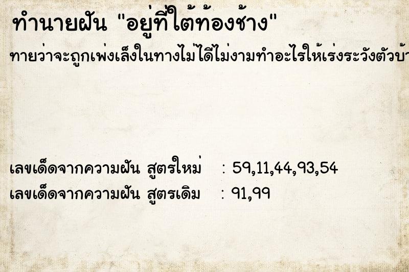 ทำนายฝันทำนายฝันอยู่ที่ใต้ท้องช้าง