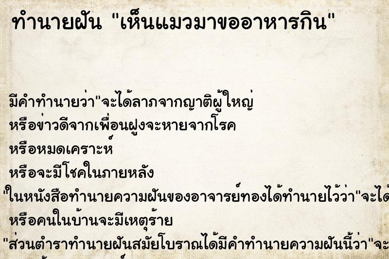 ทำนายฝัน เห็นแมวมาขออาหารกิน ทำนายฝัน เห็นแมวมาขออาหารกิน