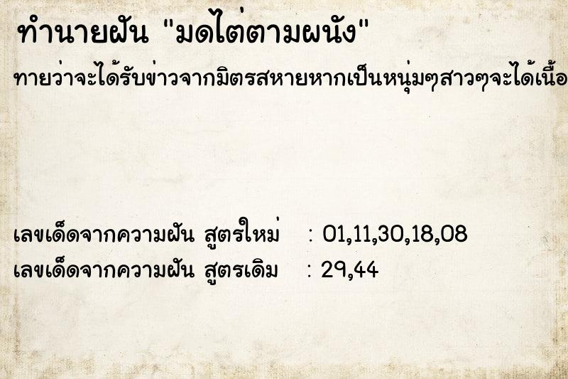 ทำนายฝันมดไต่ตามผนัง ทำนายฝันทำนายฝันมดไต่ตามผนัง