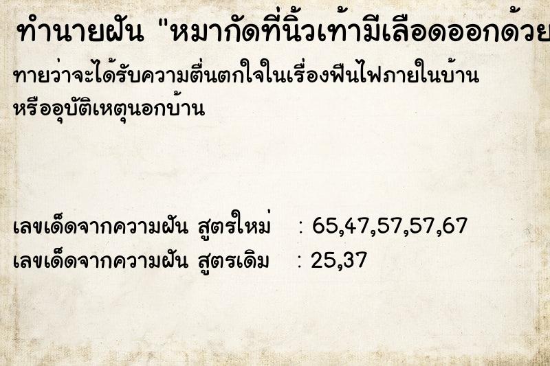 ทำนายฝันหมากัดที่นิ้วเท้ามีเลือดออกด้วย ทำนายฝันทำนายฝันหมากัดที่นิ้วเท้ามีเลือดออกด้วย