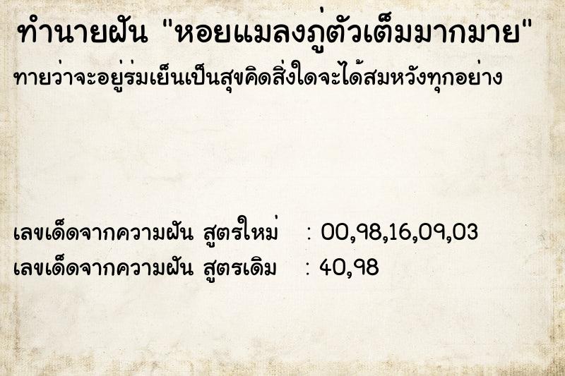 ทำนายฝันหอยแมลงภู่ตัวเต็มมากมาย ทำนายฝันทำนายฝันหอยแมลงภู่ตัวเต็มมากมาย