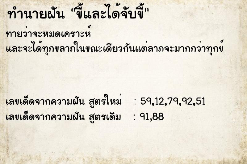ทำนายฝันขี้และได้จับขี้ ทำนายฝันทำนายฝันขี้และได้จับขี้