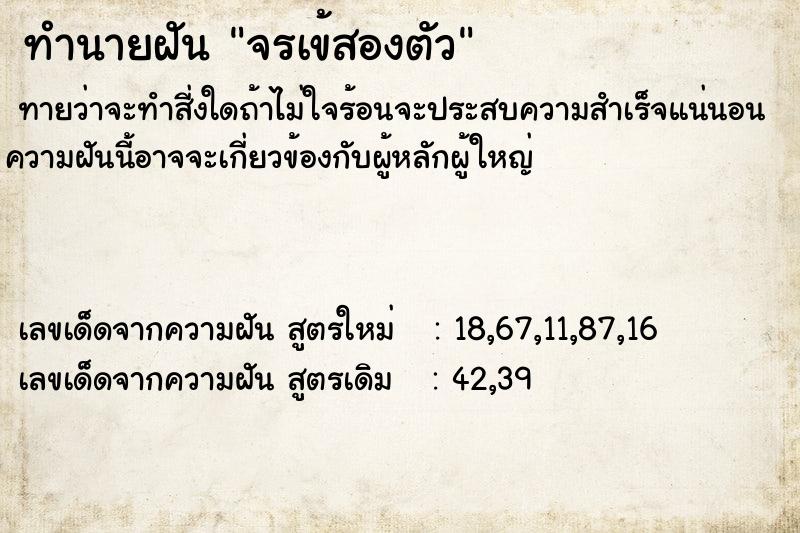 ทำนายฝันจรเข้สองตัว ทำนายฝันทำนายฝันจรเข้สองตัว