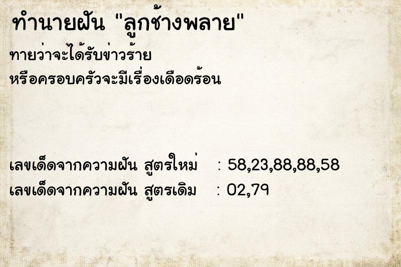 ทำนายฝันทำนายฝันลูกช้างพลาย