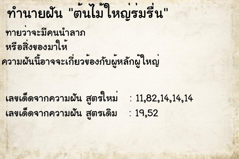 ทำนายฝันต้นไม้ใหญ่ร่มรื่น ทำนายฝันทำนายฝันต้นไม้ใหญ่ร่มรื่น