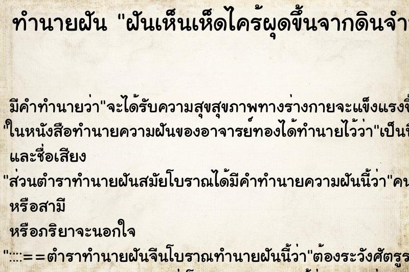 ทำนายฝัน ฝันเห็นเห็ดไคร้ผุดขึ้นจากดินจำนวนมาก ทำนายฝัน ฝันเห็นเห็ดไคร้ผุดขึ้นจากดินจำนวนมาก