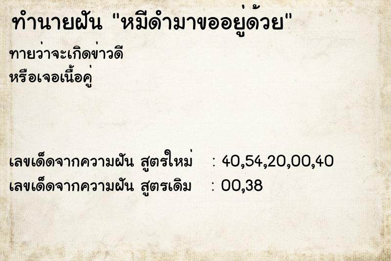 ทำนายฝันทำนายฝันหมีดำมาขออยู่ด้วย