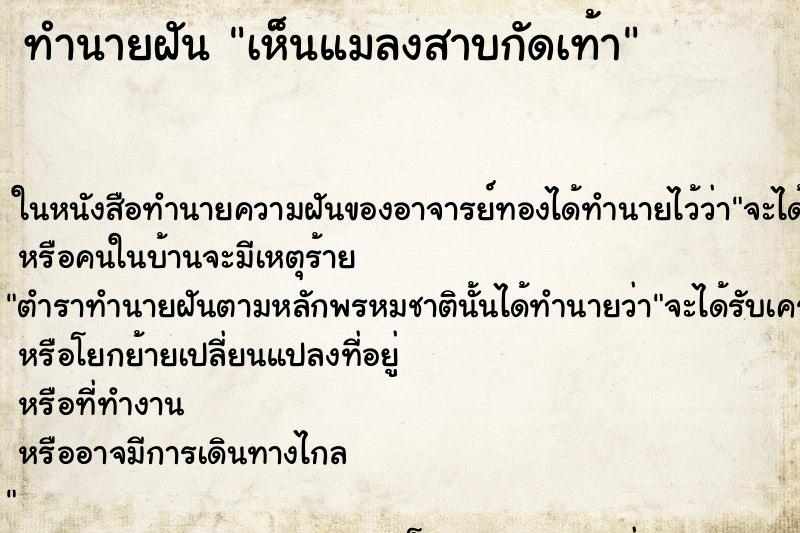 ทำนายฝันเห็นแมลงสาบกัดเท้า ทำนายฝันทำนายฝันเห็นแมลงสาบกัดเท้า