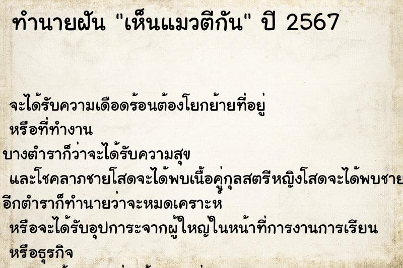 ทำนายฝันทำนายฝันเห็นแมวตีกัน