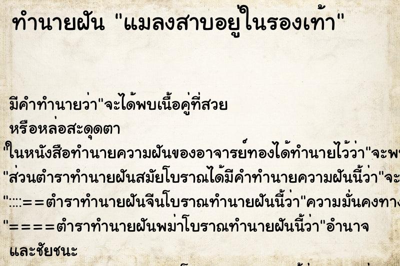 ทำนายฝัน แมลงสาบอยู่ในรองเท้า ทำนายฝัน แมลงสาบอยู่ในรองเท้า