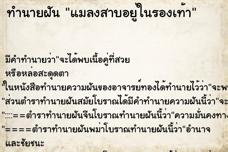 ทำนายฝัน แมลงสาบอยู่ในรองเท้า ตำราโบราณ แม่นที่สุดในโลก