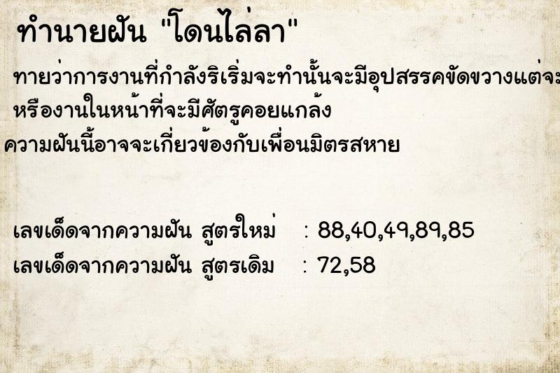 ทำนายฝันโดนไล่ลา ทำนายฝันทำนายฝันโดนไล่ลา