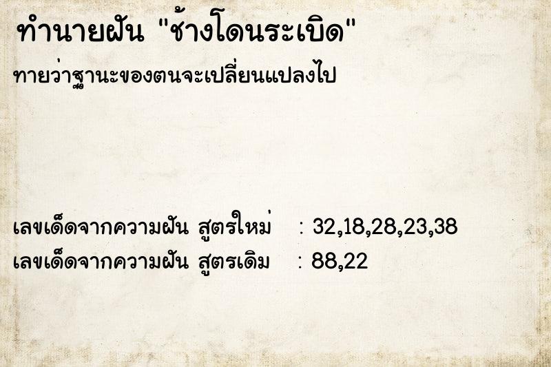ทำนายฝันช้างโดนระเบิด ทำนายฝันทำนายฝันช้างโดนระเบิด