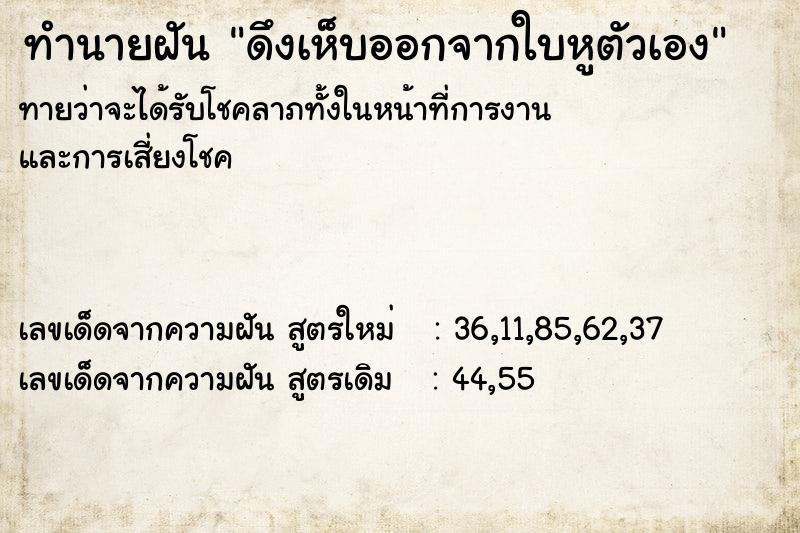 ทำนายฝัน ดึงเห็บออกจากใบหูตัวเอง ทำนายฝัน ดึงเห็บออกจากใบหูตัวเอง