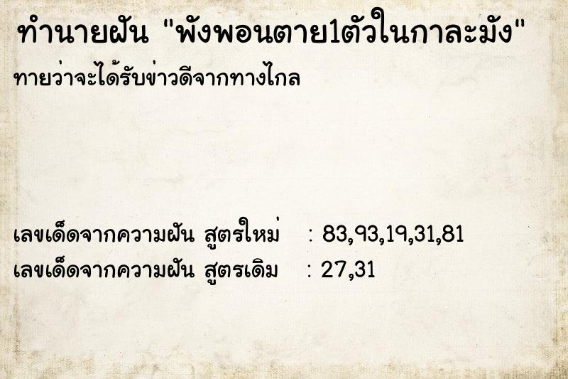 ทำนายฝัน พังพอนตาย1ตัวในกาละมัง