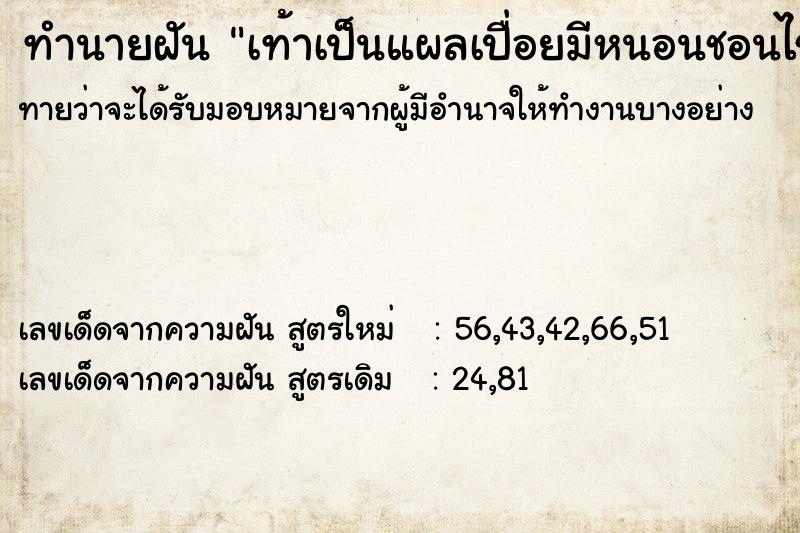 ทำนายฝันทำนายฝันเท้าเป็นแผลเปื่อยมีหนอนชอนไช