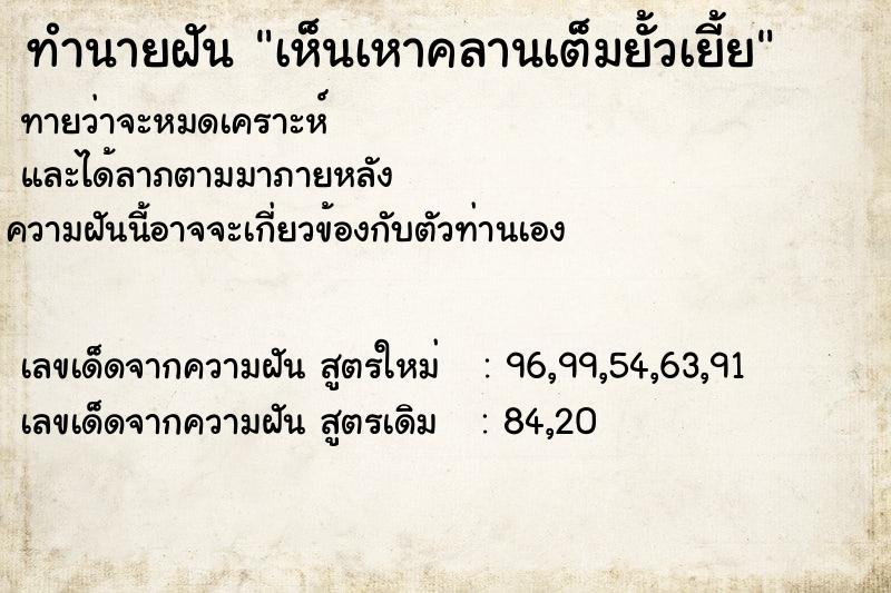 ทำนายฝัน เห็นเหาคลานเต็มยั้วเยี้ย ทำนายฝัน เห็นเหาคลานเต็มยั้วเยี้ย