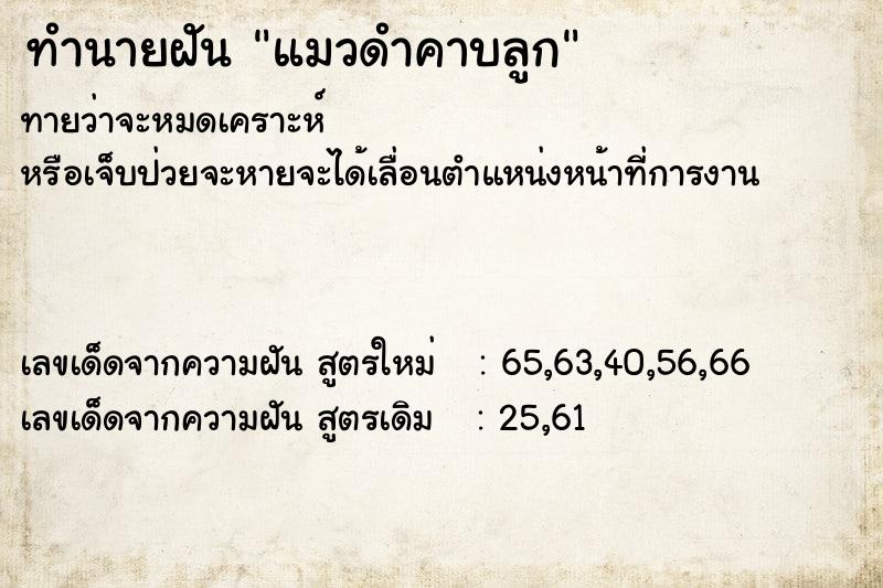 ทำนายฝันแมวดำคาบลูก ทำนายฝันทำนายฝันแมวดำคาบลูก