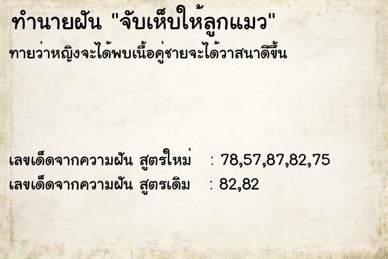 ทำนายฝันทำนายฝันจับเห็บให้ลูกแมว